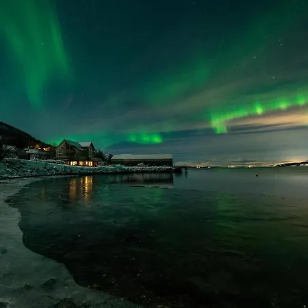公寓 Secluded Northern Light With Great View! Selnes (Tromso)